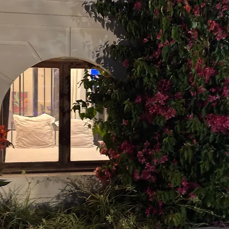 Belle Epoque Saint-raphael Bed and breakfast Saint-Raphaël