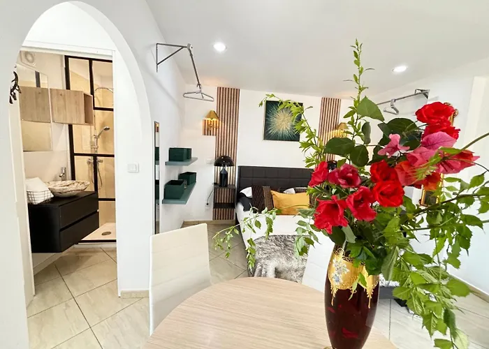 Belle Epoque Saint-raphael